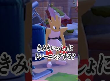 エビワラーとの出会い【ぽこあポケモン】