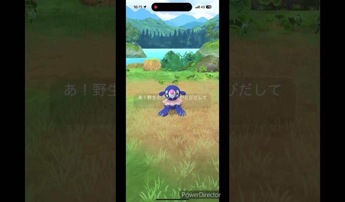 アシマリ色違い✨ #ポケモンgo #pokemon #ポケモン