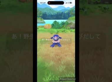 アシマリ色違い✨ #ポケモンgo #pokemon #ポケモン