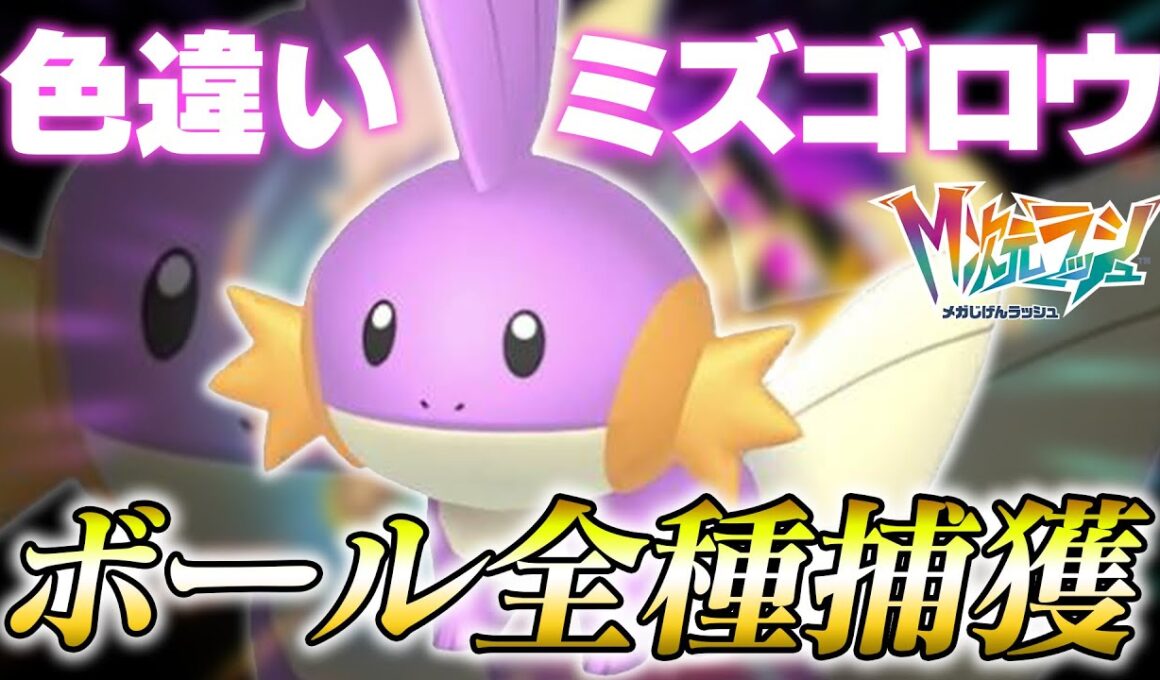 【M次元ラッシュ】色違いミズゴロウをボール全種捕獲へ【Pokémon LEGENDS Z-A】