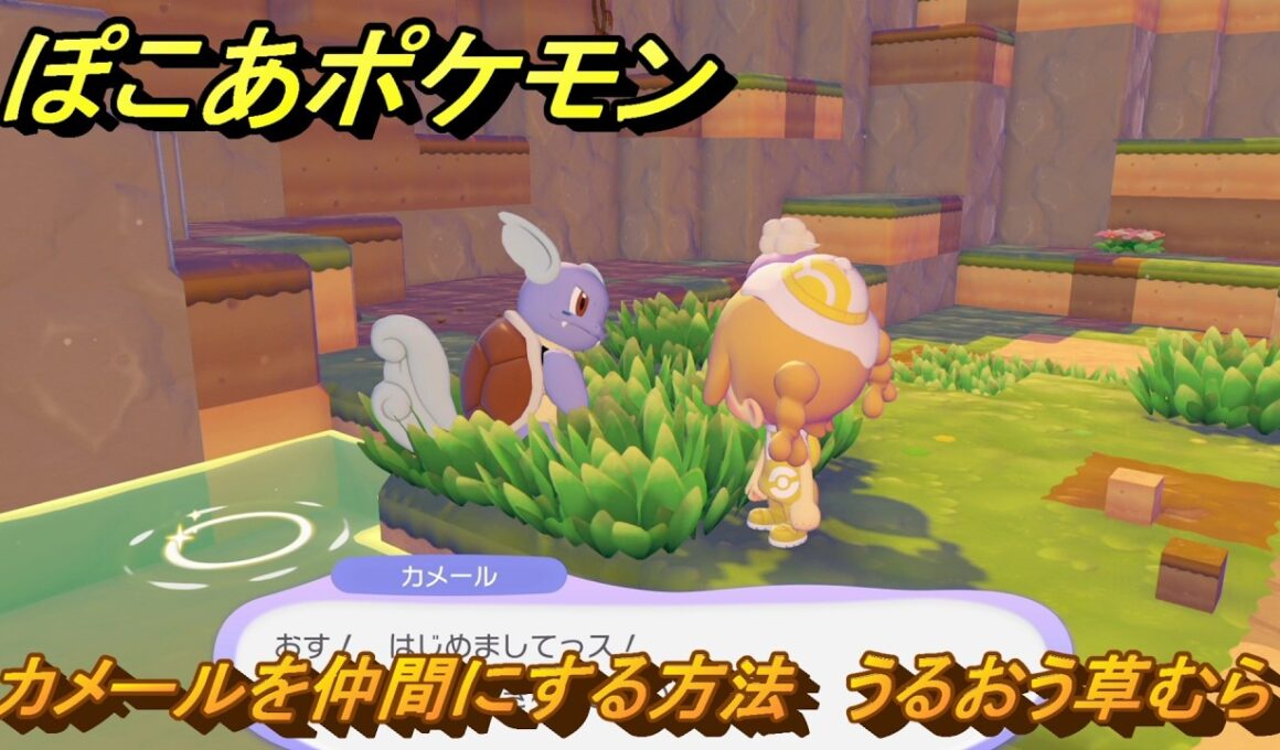 ぽこあポケモン　カメールを仲間にする方法　うるおう草むら　＃４７　【ぽこポケ】