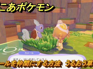 ぽこあポケモン　カメールを仲間にする方法　うるおう草むら　＃４７　【ぽこポケ】