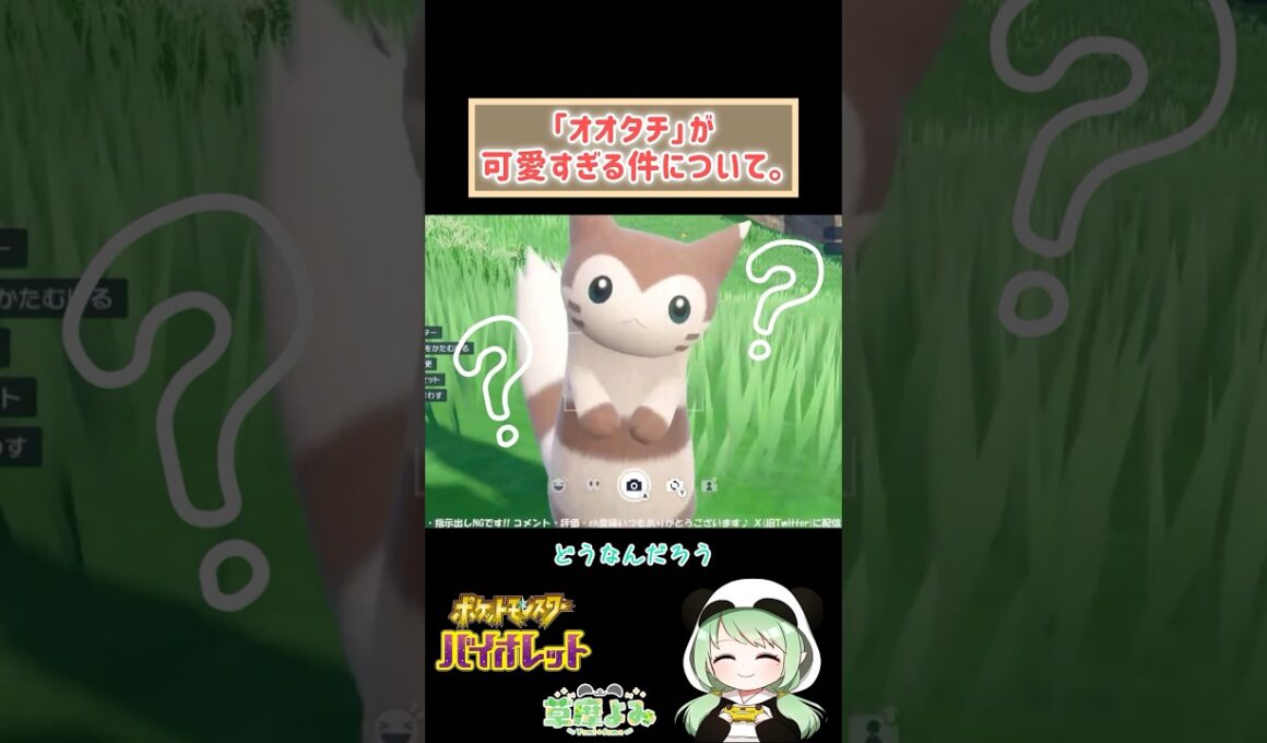 オオタチが可愛すぎて困る。 #ポケモンsv #shorts