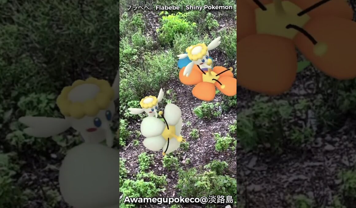 フラベベ(青・オレンジ・白)｜Flabebe｜ShinyPokémon【ポケモンGO】PoKeMoN GO AR｜AR動画｜GOsnapshot