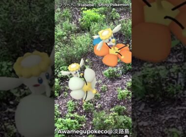 フラベベ(青・オレンジ・白)｜Flabebe｜ShinyPokémon【ポケモンGO】PoKeMoN GO AR｜AR動画｜GOsnapshot