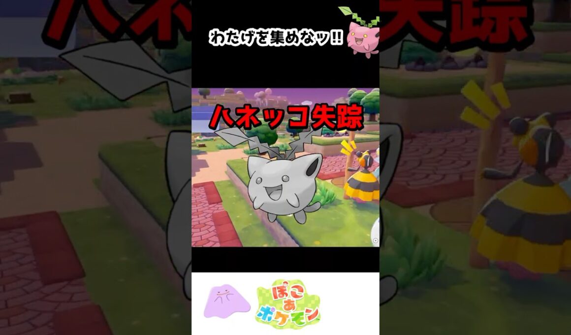 ぽこあポケモン初イベント！なのにハネッコが消えたんだが…【ぽこポケ】