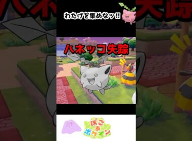 ぽこあポケモン初イベント！なのにハネッコが消えたんだが…【ぽこポケ】