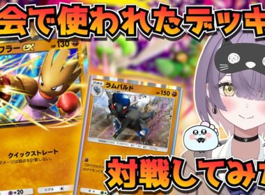 【ポケポケ】エビワラー×ラムパルド構築！｜235人大会で使用されたデッキで対戦してみた！【ほたっぺ/VTuber】