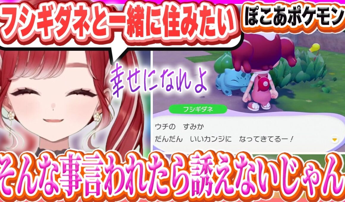 推しポケフシギダネとの同居を断念するベリー【早乙女ベリー/にじさんじ/ぽこあポケモン】