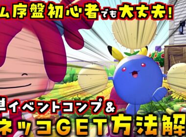 まだ最初の町にいる序盤でも簡単にワタッコゲット＆ハネッコのわたげあつめイベントコンプできる方法を解説します！【ぽこあポケモン ぽこポケ 初心者向け攻略】