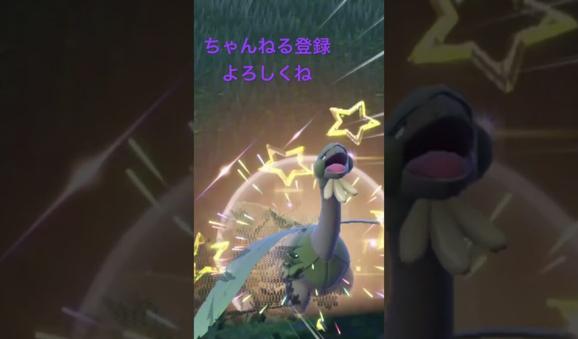 色違いキノココを探した結果色違い4匹…# #ポケモンsv #色違い #shorts
