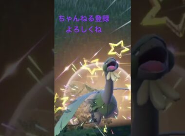色違いキノココを探した結果色違い4匹…# #ポケモンsv #色違い #shorts