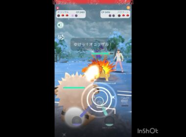 オコリザル使ってみた‼️