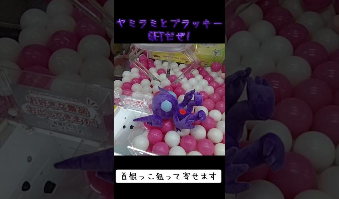 #クレーンゲーム #ポケモン #ヤミラミ #ブラッキー #ポケモン30周年