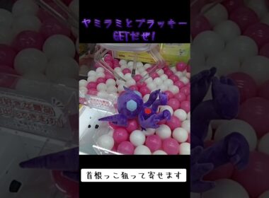 #クレーンゲーム #ポケモン #ヤミラミ #ブラッキー #ポケモン30周年