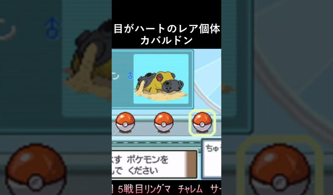 目がハートのレア個体カバルドン【ポケモン プラチナ】 #shorts