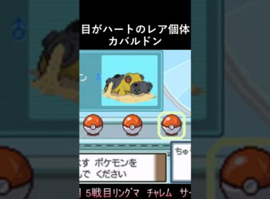目がハートのレア個体カバルドン【ポケモン プラチナ】 #shorts
