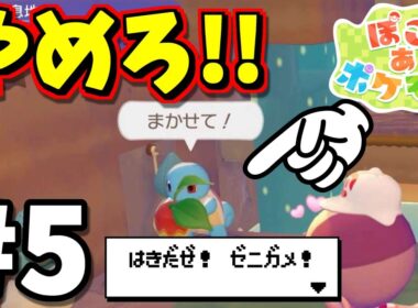 ゼニガメが大切なものを食べちゃった！？【ぽこあポケモン】