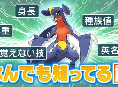 ポケモン界の主人公『ガブリアス』のことなら知らないことなんてないよね？？？