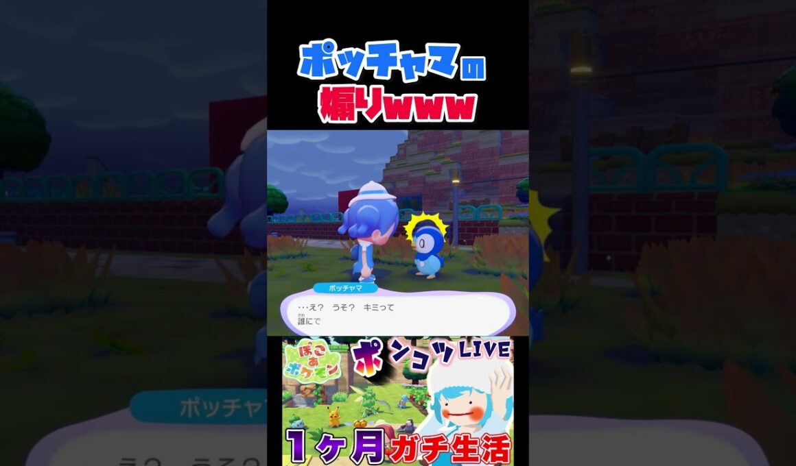 ポッチャマに煽られました【ぽこあポケモン】