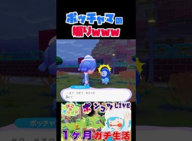 ポッチャマに煽られました【ぽこあポケモン】