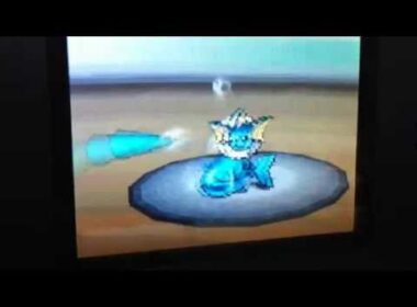 殻を破る型パルシェンの脅威