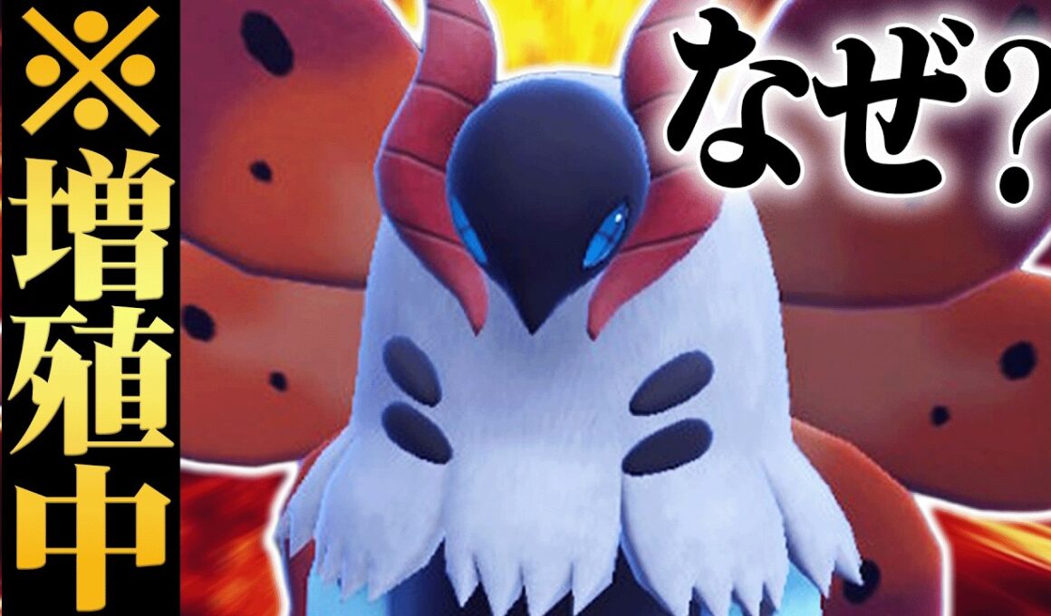 【理論上最強】”伝説ルールでは厳しい”と言われていたのに最近増え始めてる『ウルガモス』再評価の流れ来たわ。【ポケモンSV】