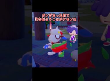 【何故書き終わらない…？】「ペインター（ドーブル）」の図鑑説明の考察 #shorts #ぽこあポケモン #ぽこあ #ゆっくり実況 #でんどろ