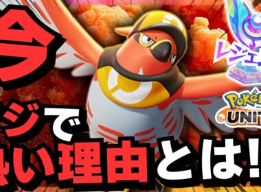 【実質ファイヤー】環境ではなくプレイヤーを狩り尽くす『ファイアロー』は今が一番楽しい【ずんだもん実況】【ポケモンユナイト】