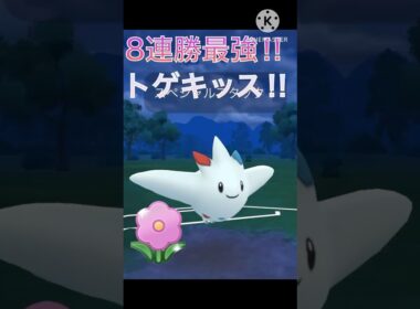 春カップで8連勝‼︎ しかも勝率8割のトゲキッスが最強すぎて勝ちまくり‼︎ #ポケモンgo #goバトル #goバトルリーグ #gbl