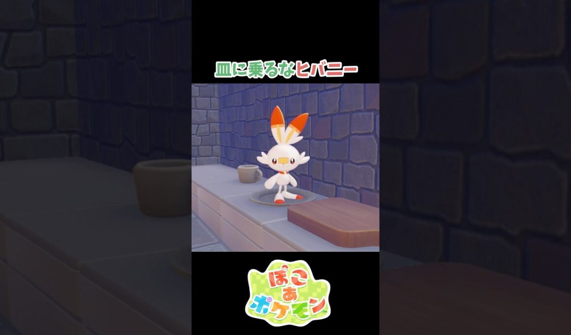 皿に乗るなヒバニー【ぽこあポケモン】