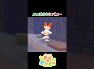 皿に乗るなヒバニー【ぽこあポケモン】