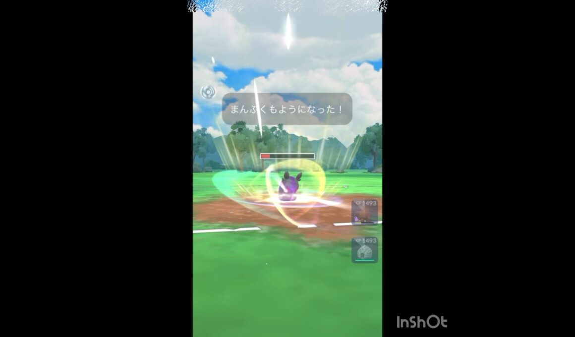 モルペコ‼️‼️‼️