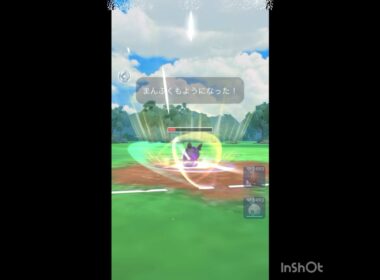 モルペコ‼️‼️‼️