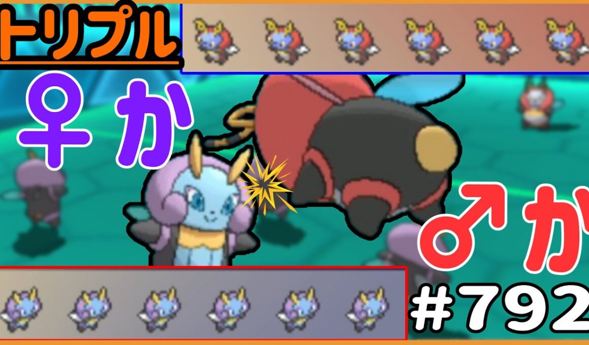 勝つのは♀か！？♂か！？イルミーゼ6匹VSバルビート6匹フルバトル！！【トリプルバトル　#792】