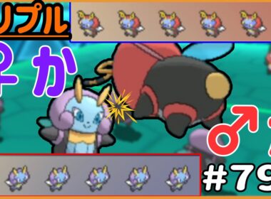 勝つのは♀か！？♂か！？イルミーゼ6匹VSバルビート6匹フルバトル！！【トリプルバトル　#792】