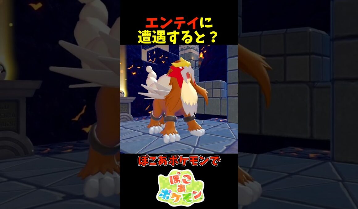【ぽこあポケモン】エンテイに遭遇すると？