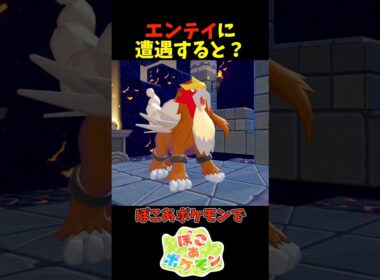 【ぽこあポケモン】エンテイに遭遇すると？