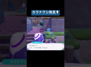 カラナクシ発見💡/ぽこあポケモン