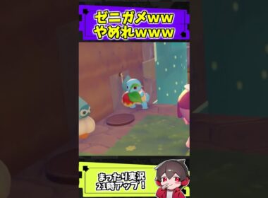 ゼニガメのかわいいところ【ぽこあポケモン】