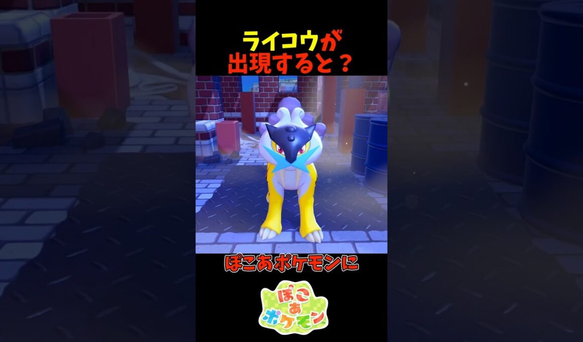【ぽこあポケモン】ライコウが出現すると？