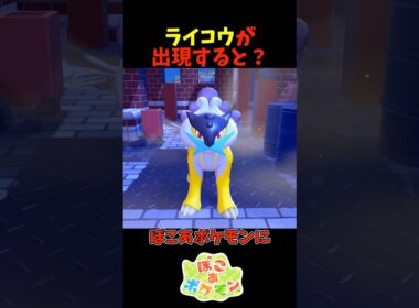 【ぽこあポケモン】ライコウが出現すると？