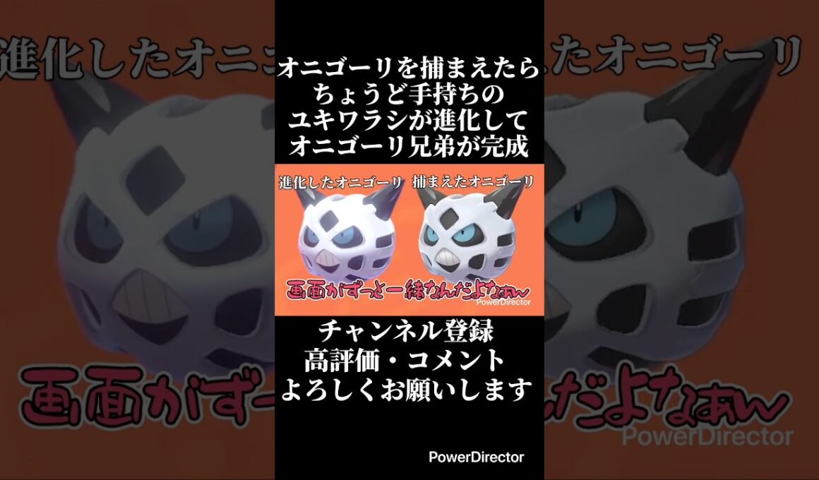 オニゴーリを捕まえたらちょうど手持ちのユキワラシが進化して意図せずオニゴーリ兄弟が完成し困惑　#ゲーム実況 #ポケモン #ポケモン剣盾 #切り抜き