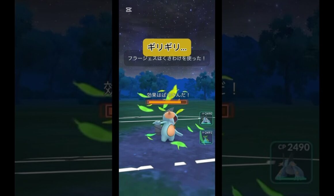 ハイパーヌマクロー使ってみたけど…