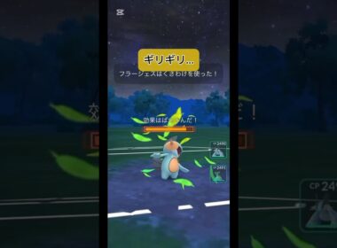 ハイパーヌマクロー使ってみたけど…