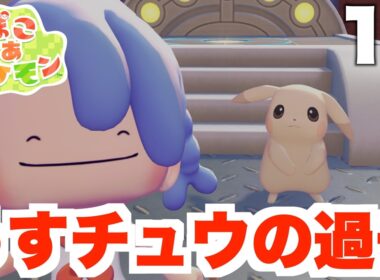 【ぽこあポケモン】特別なピカチュウのお願い事に感動！環境レベルをあげよう！part17【ぽこポケ】