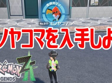 【ポケモンZ-A】ヒノヤコマを入手しよう 進化入手【Pokémon LEGENDS Z-A】