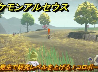 ポケモンアルセウス　大量発生で研究レベルを上げる！コロボーシ編　＃６３５　【Pokémon LEGENDS アルセウス】