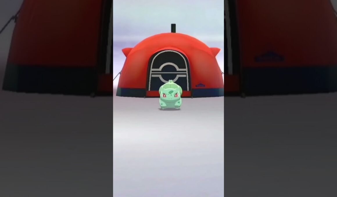 フシギダネを愛でるかい #ポケモン #フシギダネ