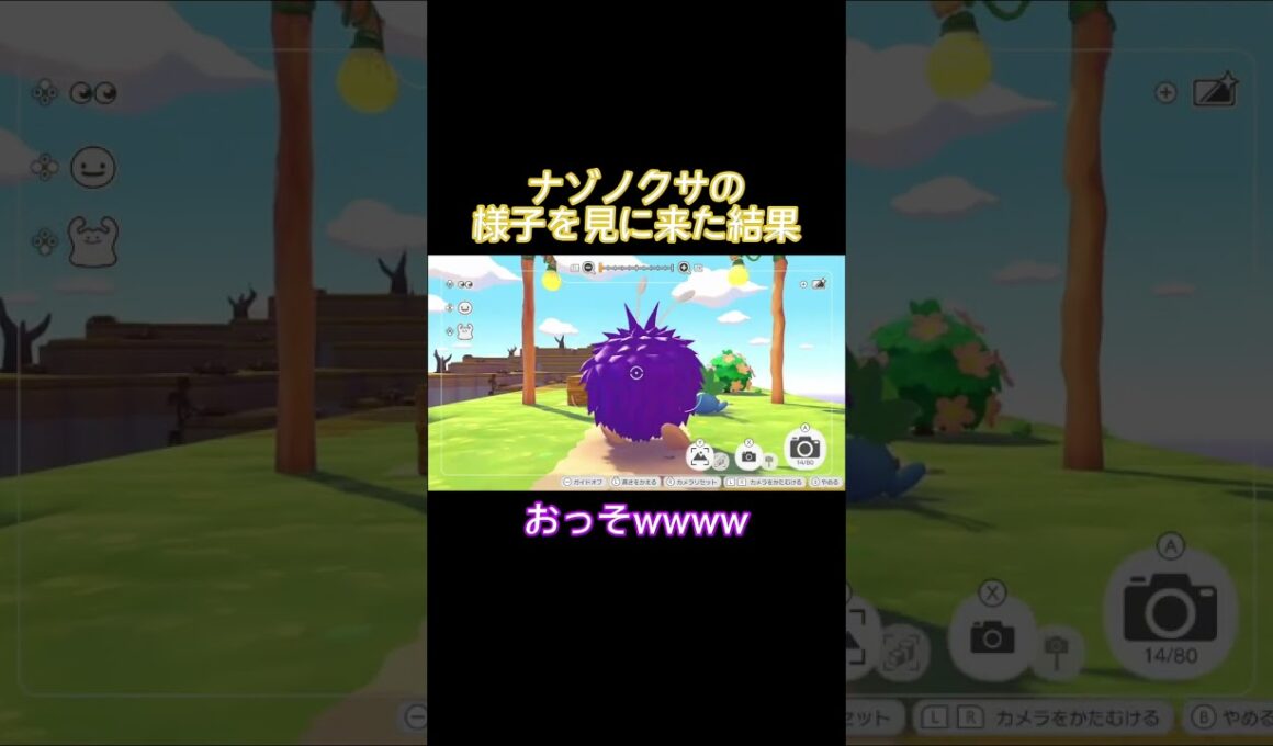 ナゾノクサの様子を見に来た結果…